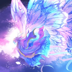 月虹蝶