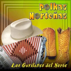 Polkas norteñas