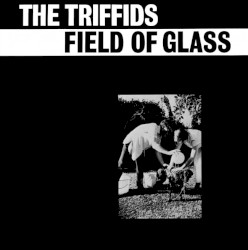 Field of Glass