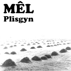 Plisgyn