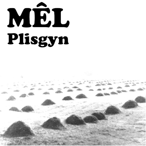 Plisgyn