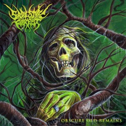 Obscure Old Remains