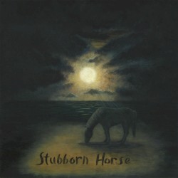 Stubborn Horse