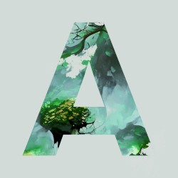 A 2