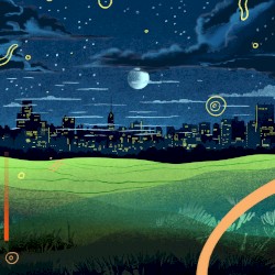 City Lights