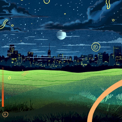 City Lights