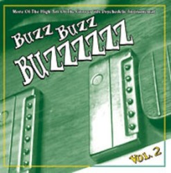 Buzz Buzz Buzzzzzz, Vol. 2