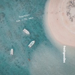 Boat in the Water