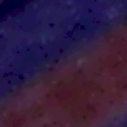 lemuria's presence