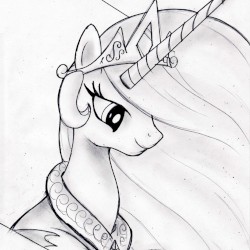 Dear Princess Celestia