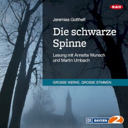 Die schwarze Spinne