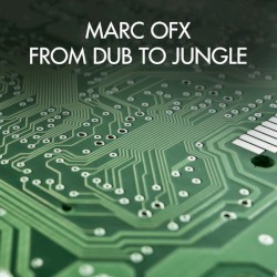 From Dub To Jungle