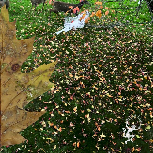 When Summer Turns to Fall