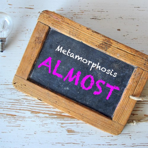 Metamorphosis Almost