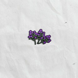 Berries