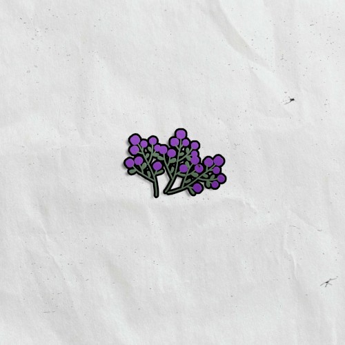 Berries
