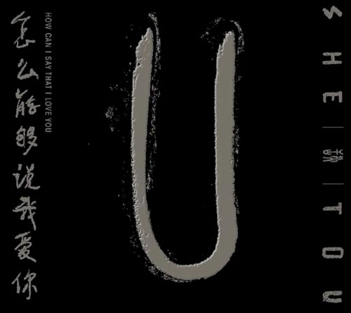 怎么能够说我爱你