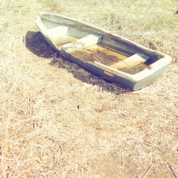 rust | sea
