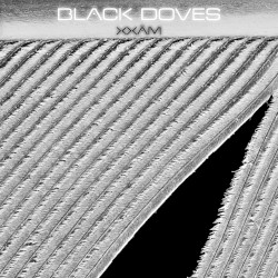 Black Doves
