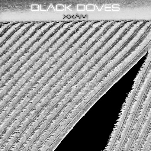 Black Doves