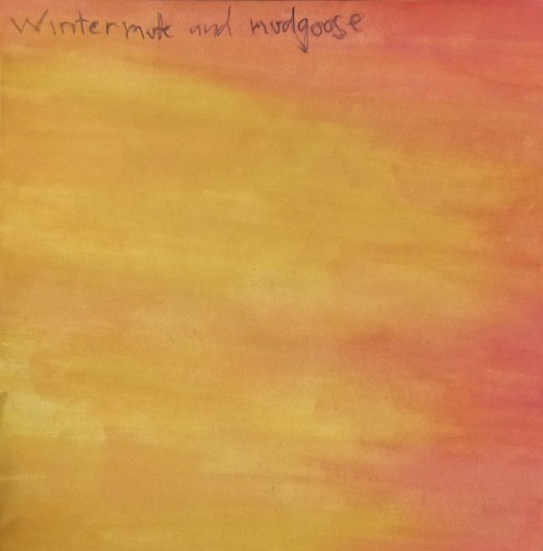 Wintermute and Mudgoose