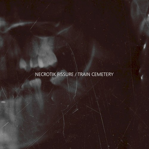 Necrotik Fissure / Train Cemetery