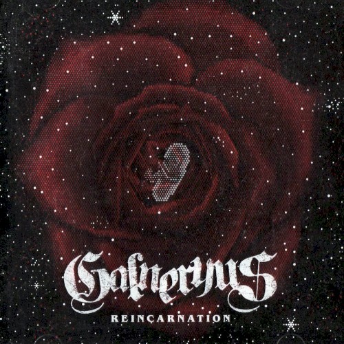 Reincarnation