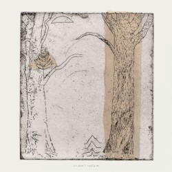 Virgo Oscura