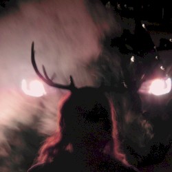 Deer in the Headlights