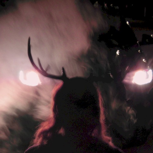 Deer in the Headlights