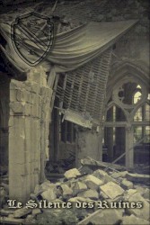 Le silence des ruines