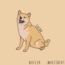 Shiba