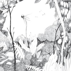 Time whispers