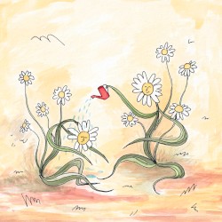 Chamomile