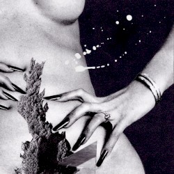 Feral Rhythm