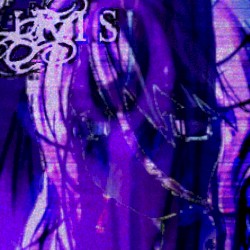 iris (bloom/bleed)