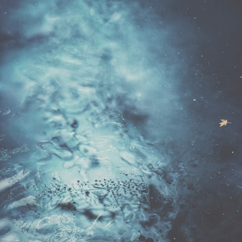 Ocean Stories