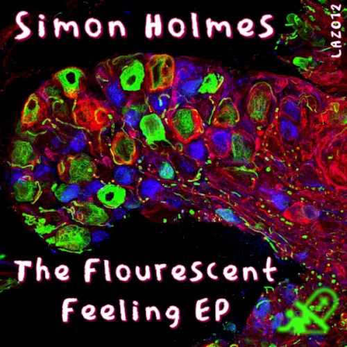 The Flourescent Feeling EP
