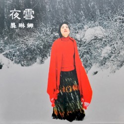 夜雪