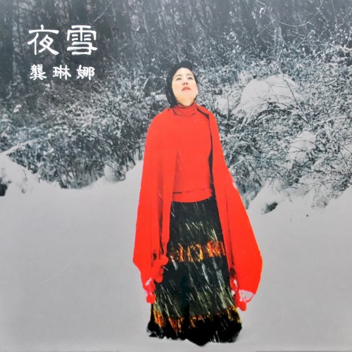 Night Snows