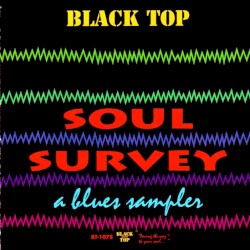 Soul Survey: A Blues Sampler