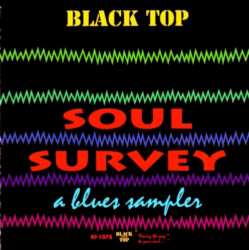 Soul Survey: A Blues Sampler