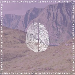 SFF_Demos (Demo Version)