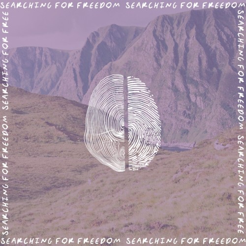 SFF_Demos (Demo Version)