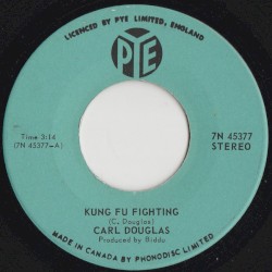 Kung Fu Fighting
