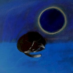 Nocturne