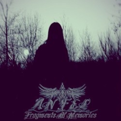 Fragments of Memories