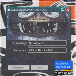 BASS ON THE LOW