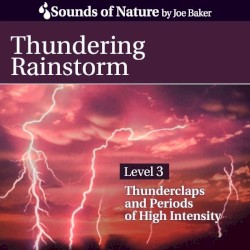 Thundering Rainstorm