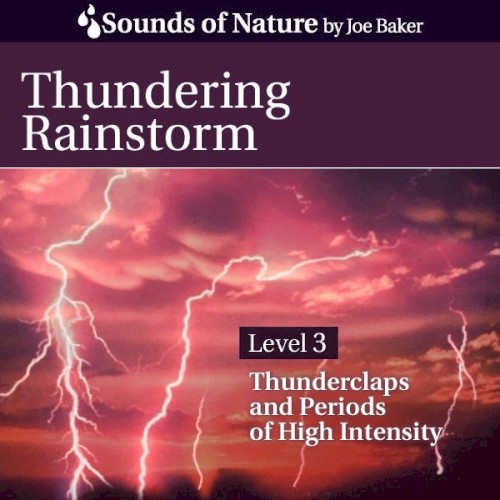 Thundering Rainstorm